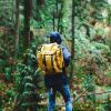 Picture of Camping Backpack - Grouped