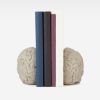 Picture of Brain Book Holder